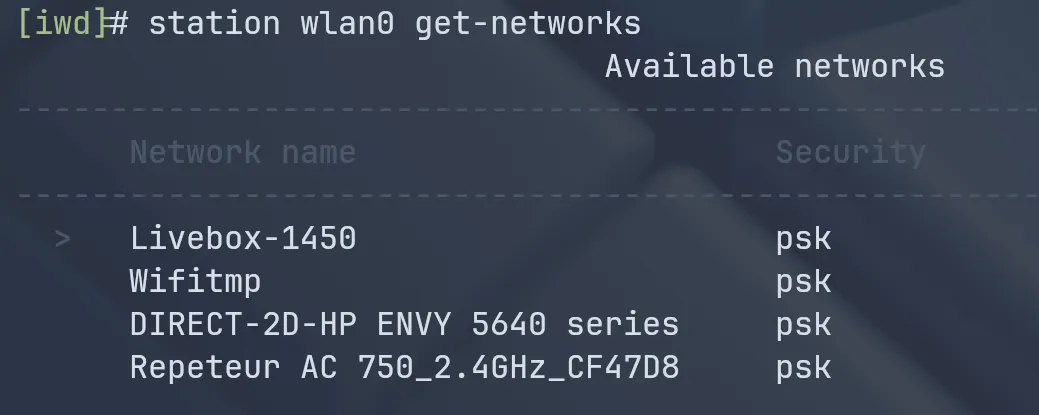 Shows the get-networks command